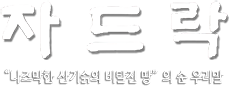 jadrak Logo